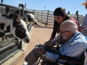 Top Benefits of Senior Care Services for Aging Loved Ones Primary